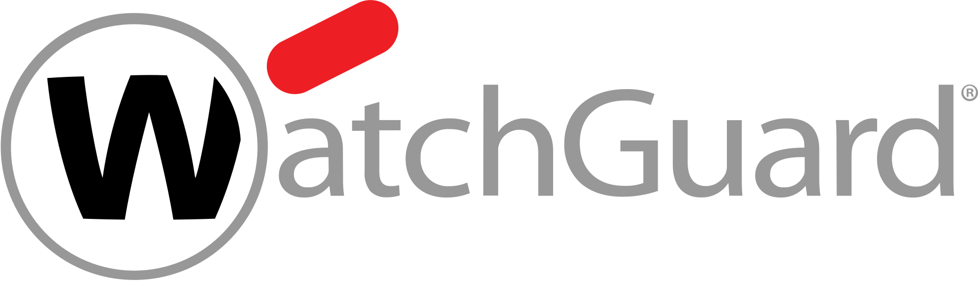 Seguridad Informática y Firewalls WatchGuard